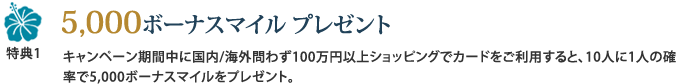 特典1 5,000マイル プレゼント キャンペーン期間中に国内/海外問わず100万円以上ショッピングでカードをご利用すると、10人に1人の確率で5,000マイルをプレゼント。