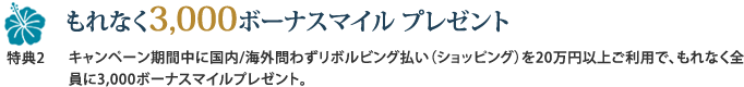 特典2 もれなく3,000マイル プレゼント キャンペーン期間中に国内/海外問わずリボルビング払い(ショッピング)を20万円以上ご利用で、もれなく全員に3,000マイルプレゼント。
