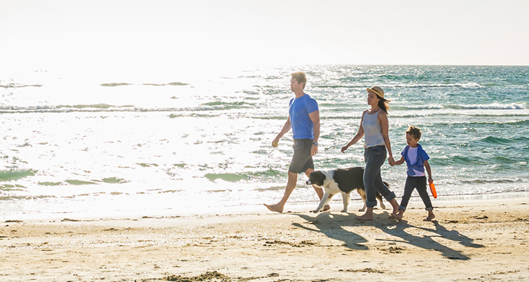 海外旅行・ゴルフ保険のご案内